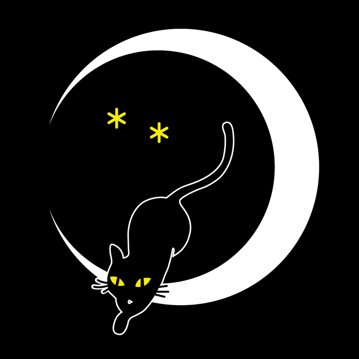 夜想黒猫
